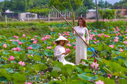 Tết Dương Lịch 2021 đi chơi ở đâu tại Sài Gòn để vừa vui vừa không sạch túi