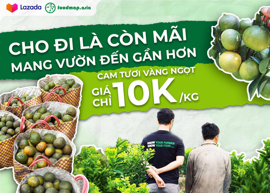 Lazada phối hợp Foodmap "giải cứu" cam sành ở các tỉnh Miền Tây