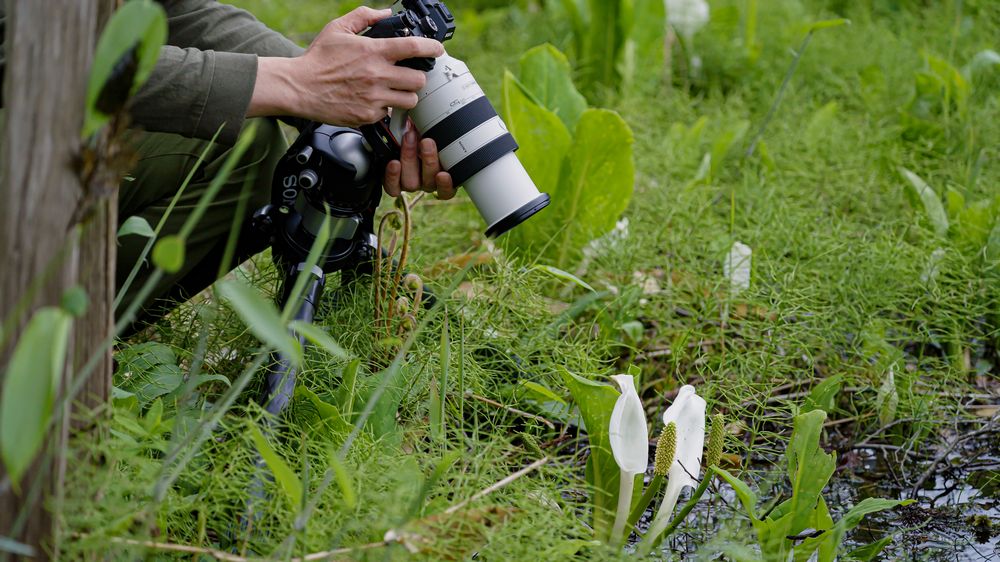 Sony ra mắt ống kính FE 70-200MM F4 Macro G OSS II mang đến chất lượng hình ảnh vượt trội và hiệu suất lấy nét tự động đỉnh cao