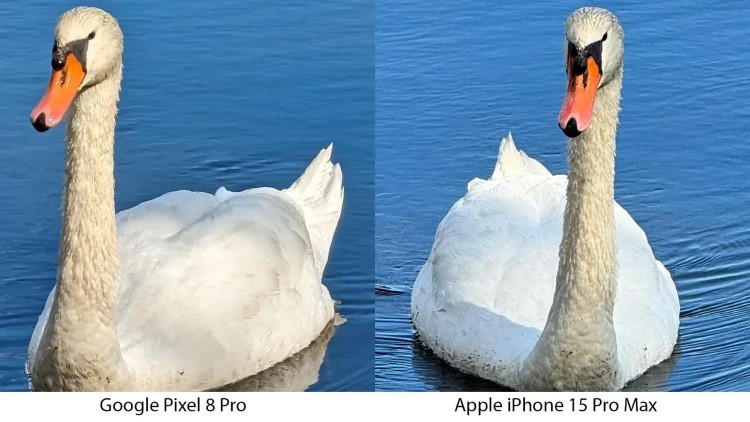 So sánh zoom 5x iPhone 15 Pro Max vs Pixel 8 Pro: Máy nào ngon hơn?