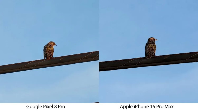 So sánh zoom 5x iPhone 15 Pro Max vs Pixel 8 Pro: Máy nào ngon hơn?