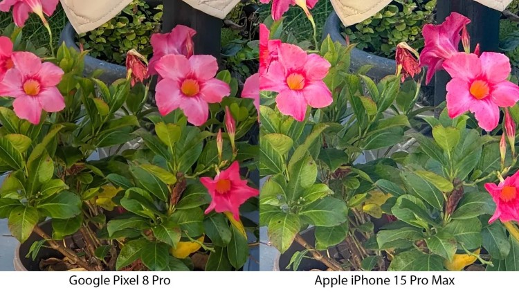 So sánh zoom 5x iPhone 15 Pro Max vs Pixel 8 Pro: Máy nào ngon hơn?