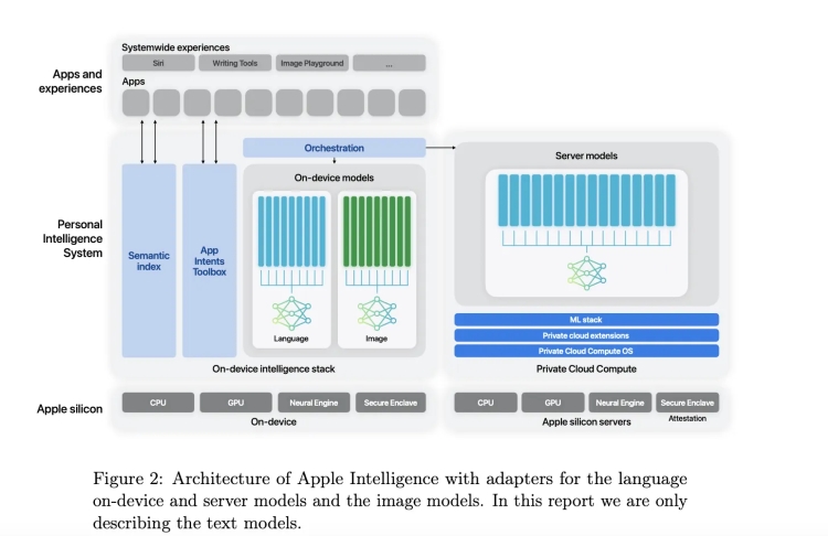 Apple "chê" Nvidia, chọn chip Google để đào tạo AI