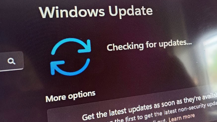 Windows 11