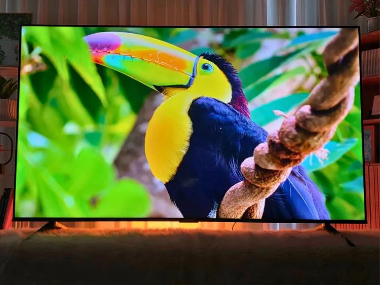 Xiaomi TV A 65 inch 2026: Tivi “khủng” giá hời