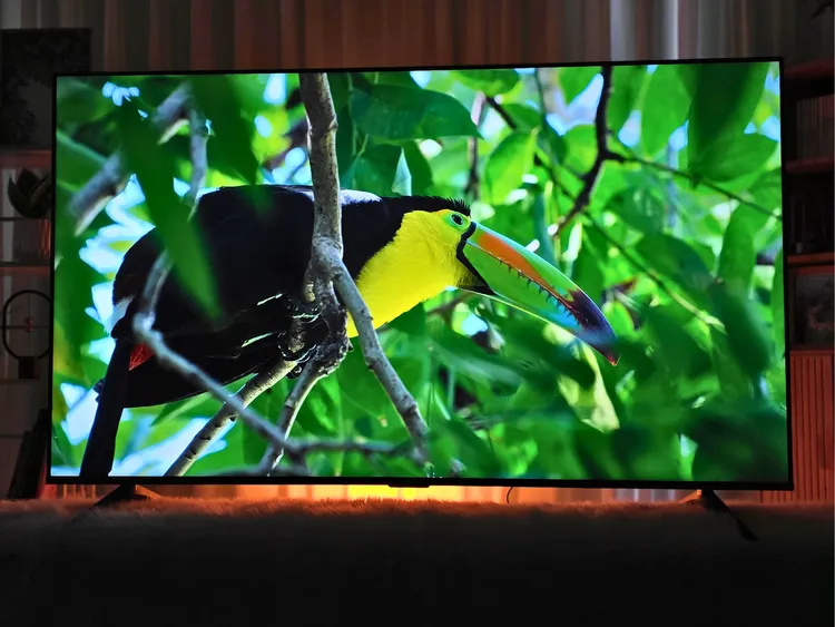 Xiaomi TV A 65 inch 2026: Tivi “khủng” giá hời