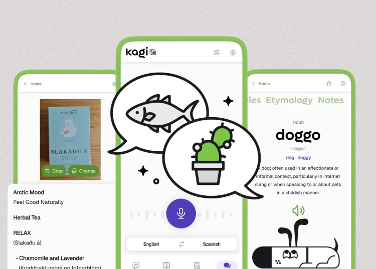 Cách sử dụng Kagi - app "Google dịch kiểu LinkedIn" đang sốt