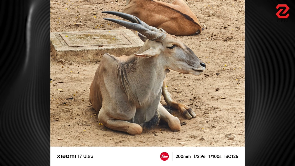 Camera Xiaomi 17 Ultra: Vua nhiếp ảnh, chụp người cực đẹp