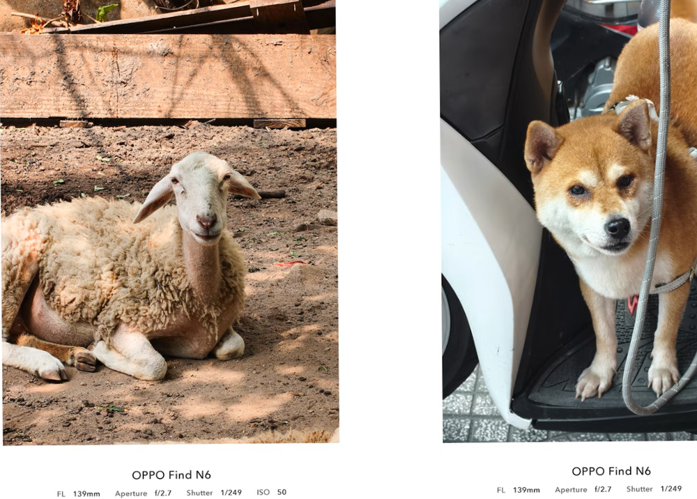 OPPO Find N6: Ẵm trọn spotlight màn gập nửa đầu 2026