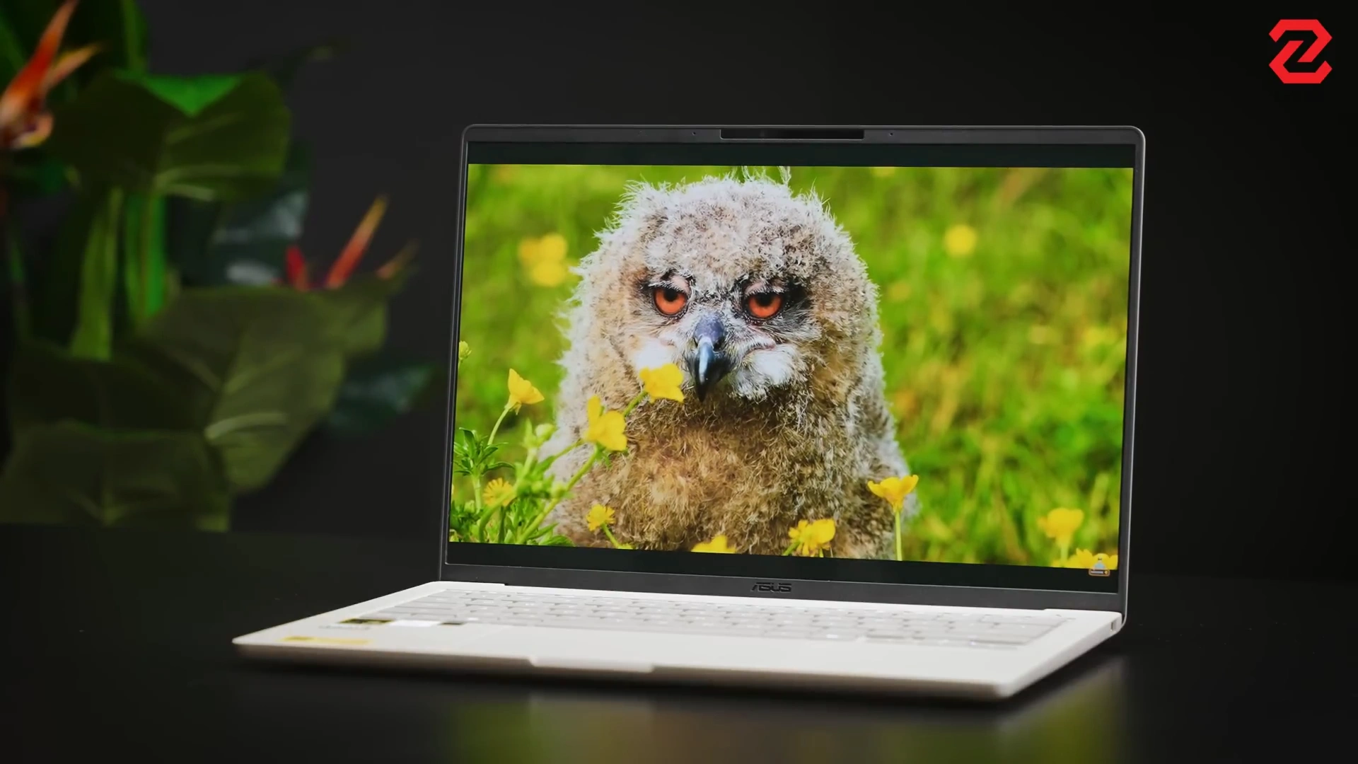 Đánh giá ASUS Zenbook A14 2026: Mỏng nhẹ mà mạnh mẽ!