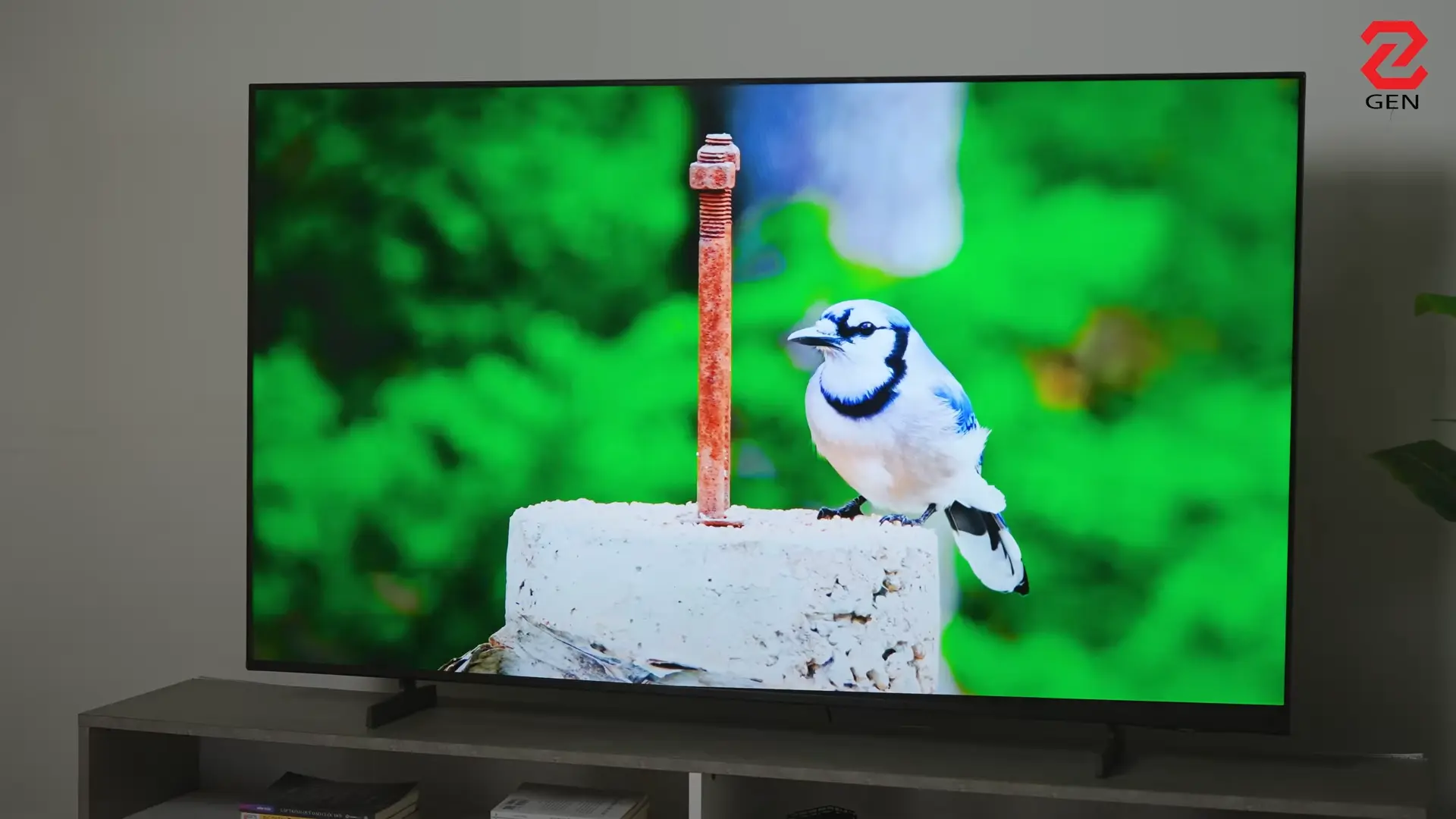 Samsung MiniLED M8XH 4K 65 inch: Xem gì cũng "đã con mắt"!